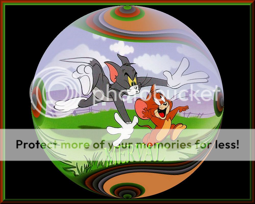 MERVALTOM.jpg picture by 1_horizonte2