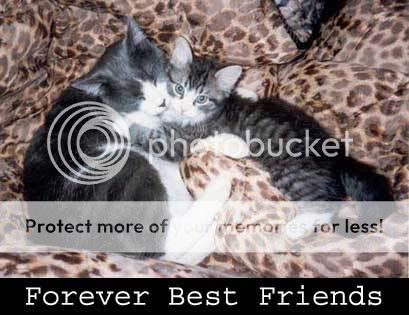 friends 4 ever