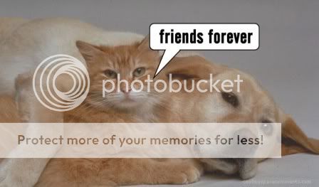 friends 4 ever
