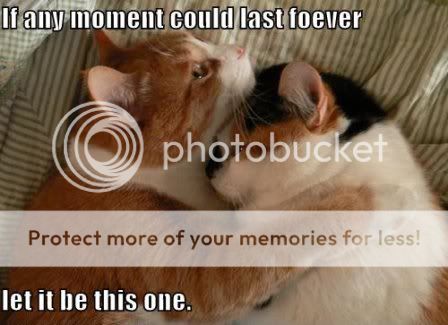 friends 4 ever