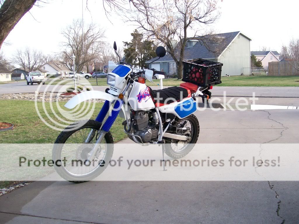 1981-honda-xl-500s-wiring-diagram Images - Frompo - 1