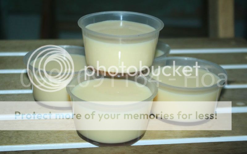 Bánh Flan, Mứt Dừa Non Bến Tre, Cải Chua... đảm bảo VSATTP - 1