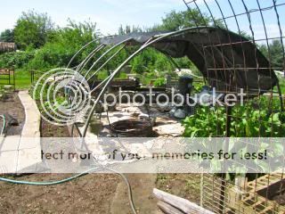 What can I do with these? - Homesteading Questions