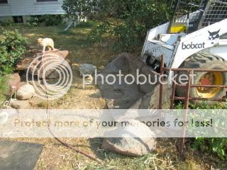 Extreme Composting - Homesteading Questions