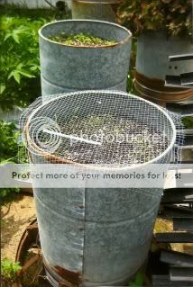 Ideas for raised beds? - Homesteading Questions