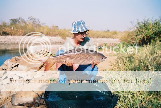 Posted Image