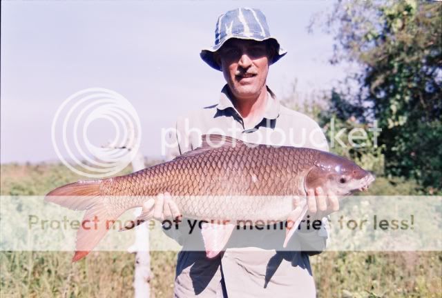Posted Image