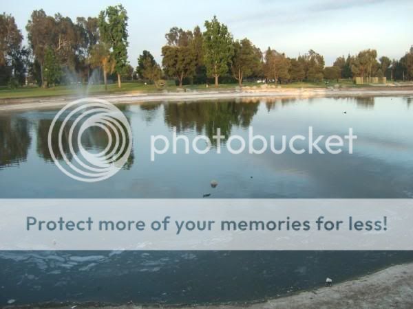 almansor park's pond :) Pictures, Images and Photos
