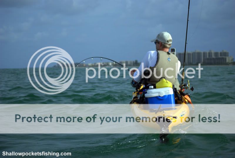RoryTarpon4.jpg