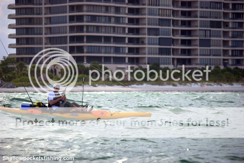 RoryTarpon7.jpg