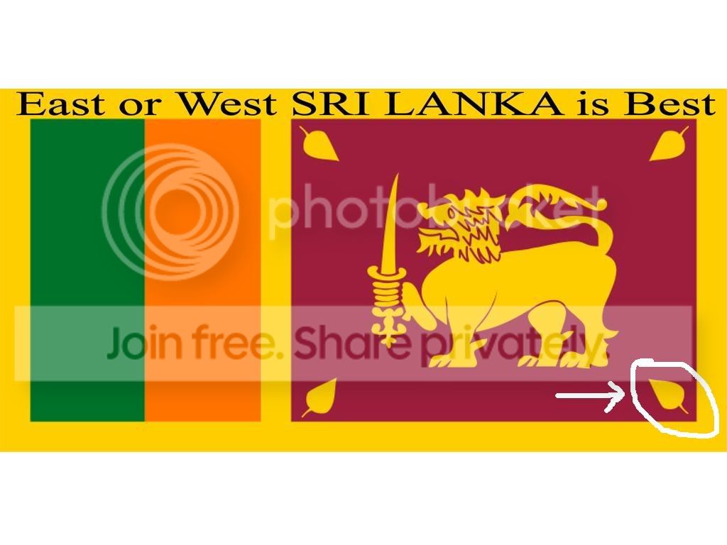 flag2.jpg